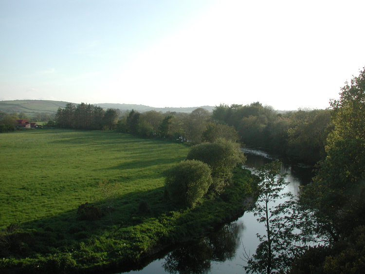 Bandon River 2.jpg 323.8K